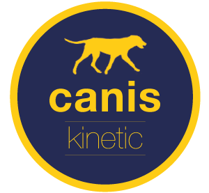 18.-19.07.2026: "Caniskinetic Trainerausbildung" mit Dr. Johanna Schürmeyer