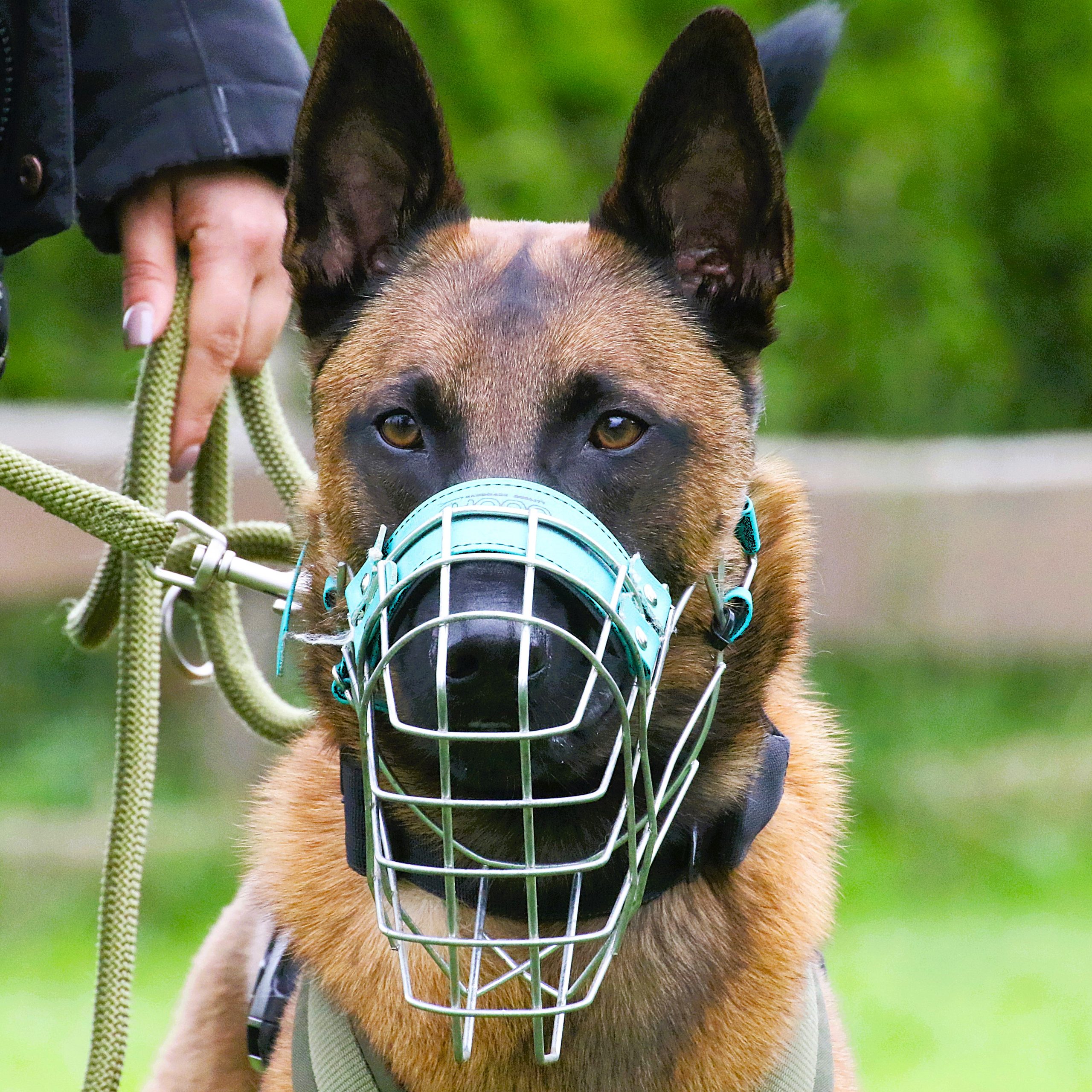 Webinar "Sicherung & Selbstschutz"