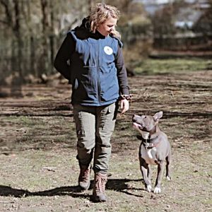 06.11.2026 LIVE-WEBINAR "KAMPF"hunde - Zwischen Vorurteil, Rasseliste & Realität - mit Vic von den Stadtkojoten