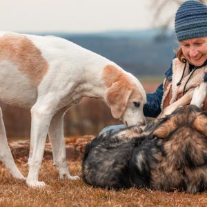 12.-15.04.2027 PRAXIS-WORKSHOP: "Angst bei Hunden" mit Katja Schuhmacher